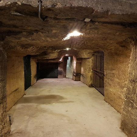 Chateau Fleur De Roques - Puisseguin Saint Emilion Kültér fotó