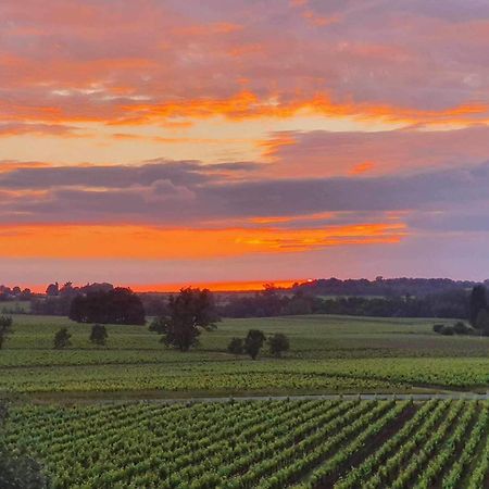 Chateau Fleur De Roques - Puisseguin Saint Emilion Kültér fotó