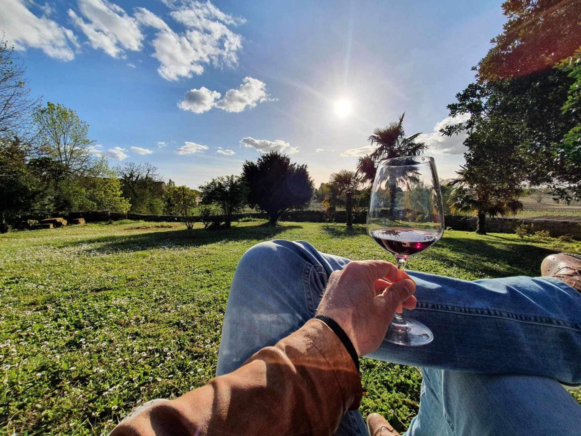 Chateau Fleur De Roques - Puisseguin Saint Emilion Kültér fotó