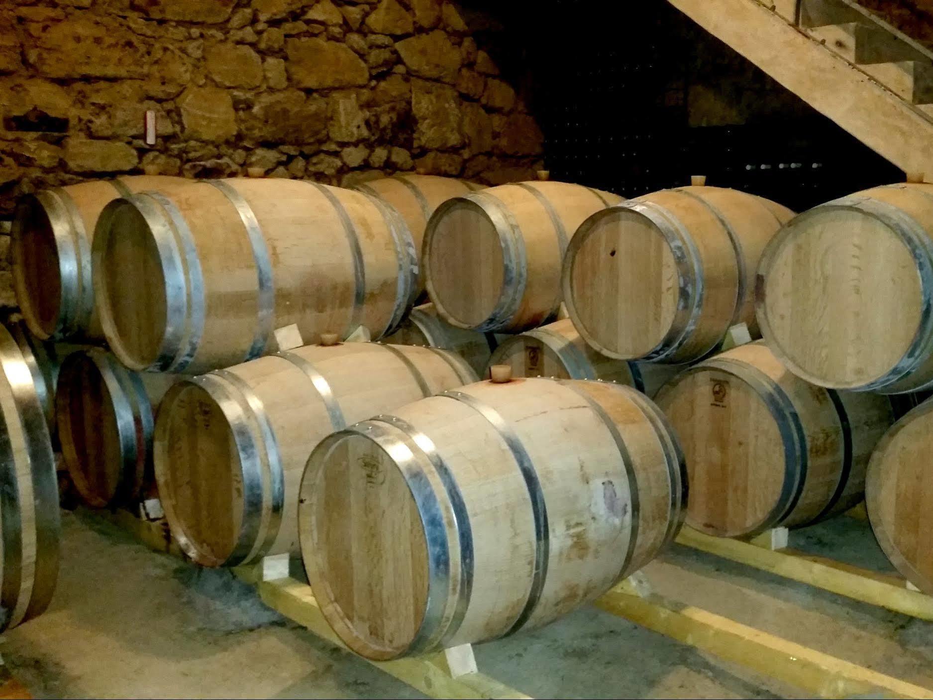 Chateau Fleur De Roques - Puisseguin Saint Emilion Kültér fotó